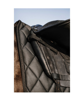 Riding World - Tapis School