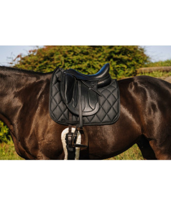 Riding World - Tapis School