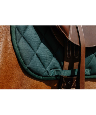 Riding World - Tapis School