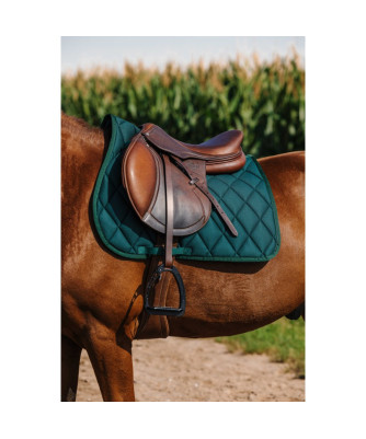Riding World - Tapis School