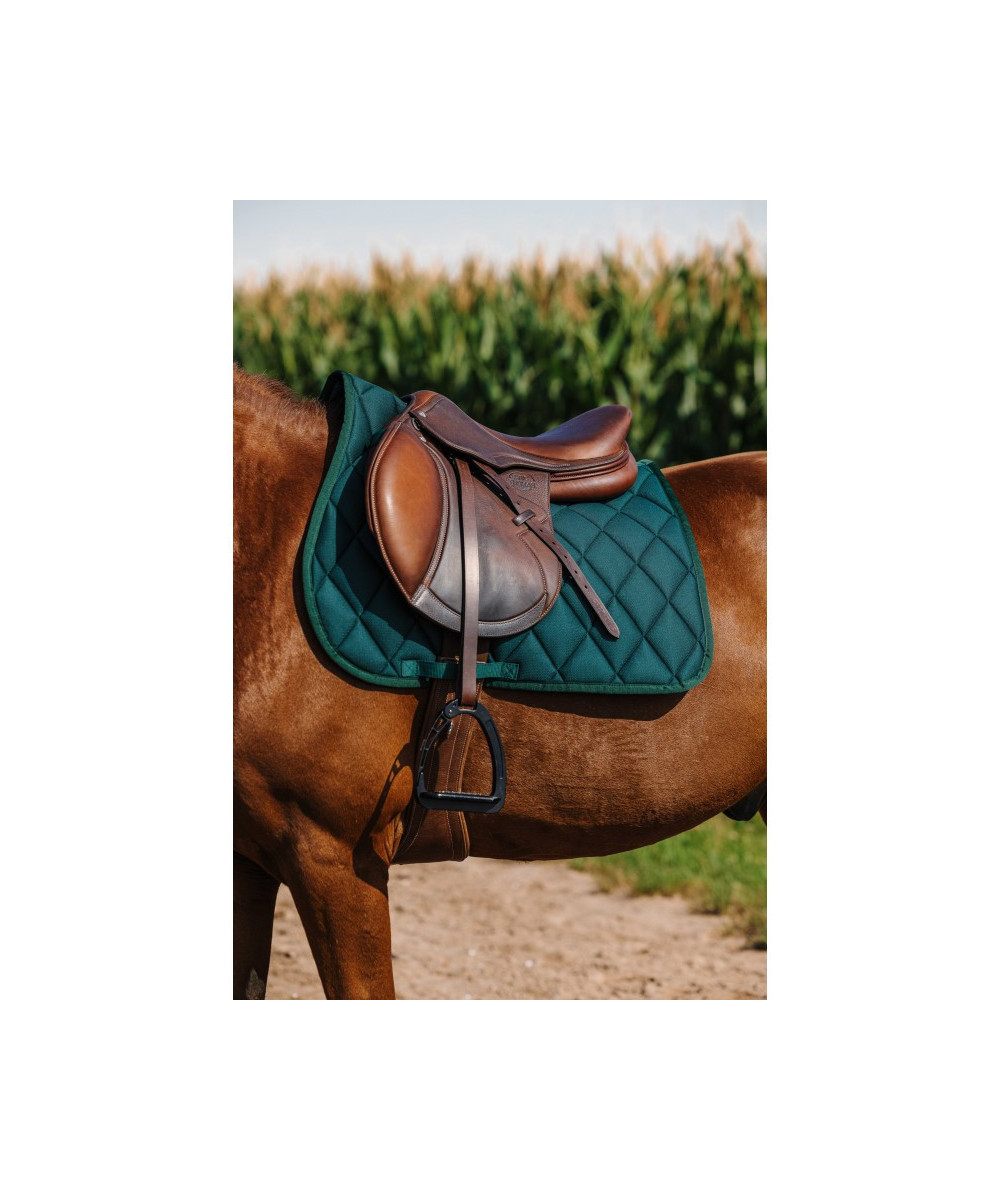 Riding World - Tapis School
