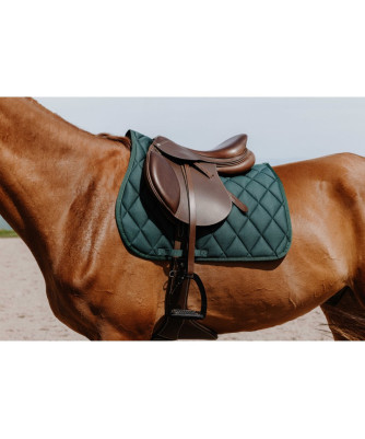 Riding World - Tapis School