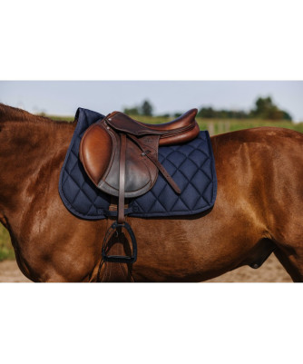 Riding World - Tapis School