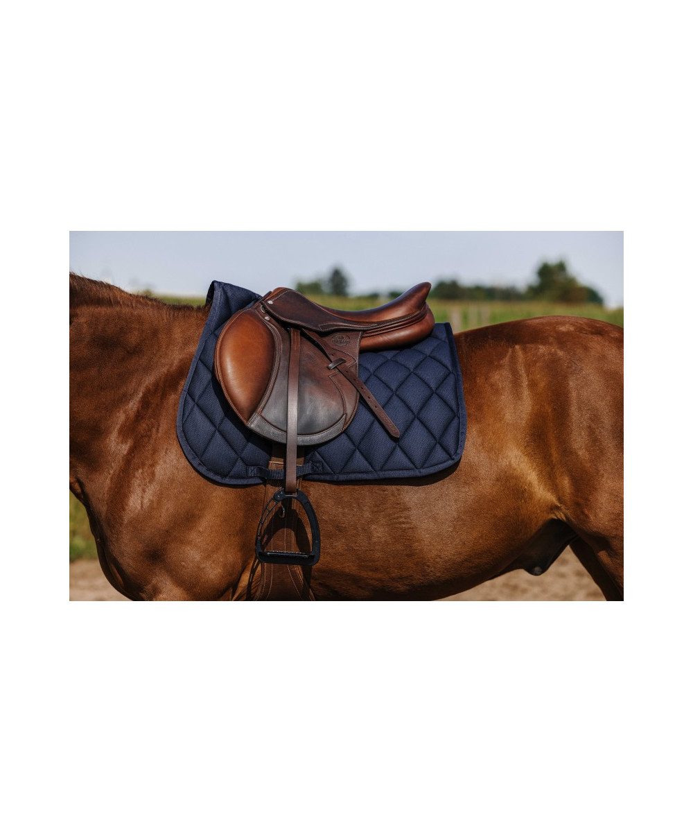 Riding World - Tapis School