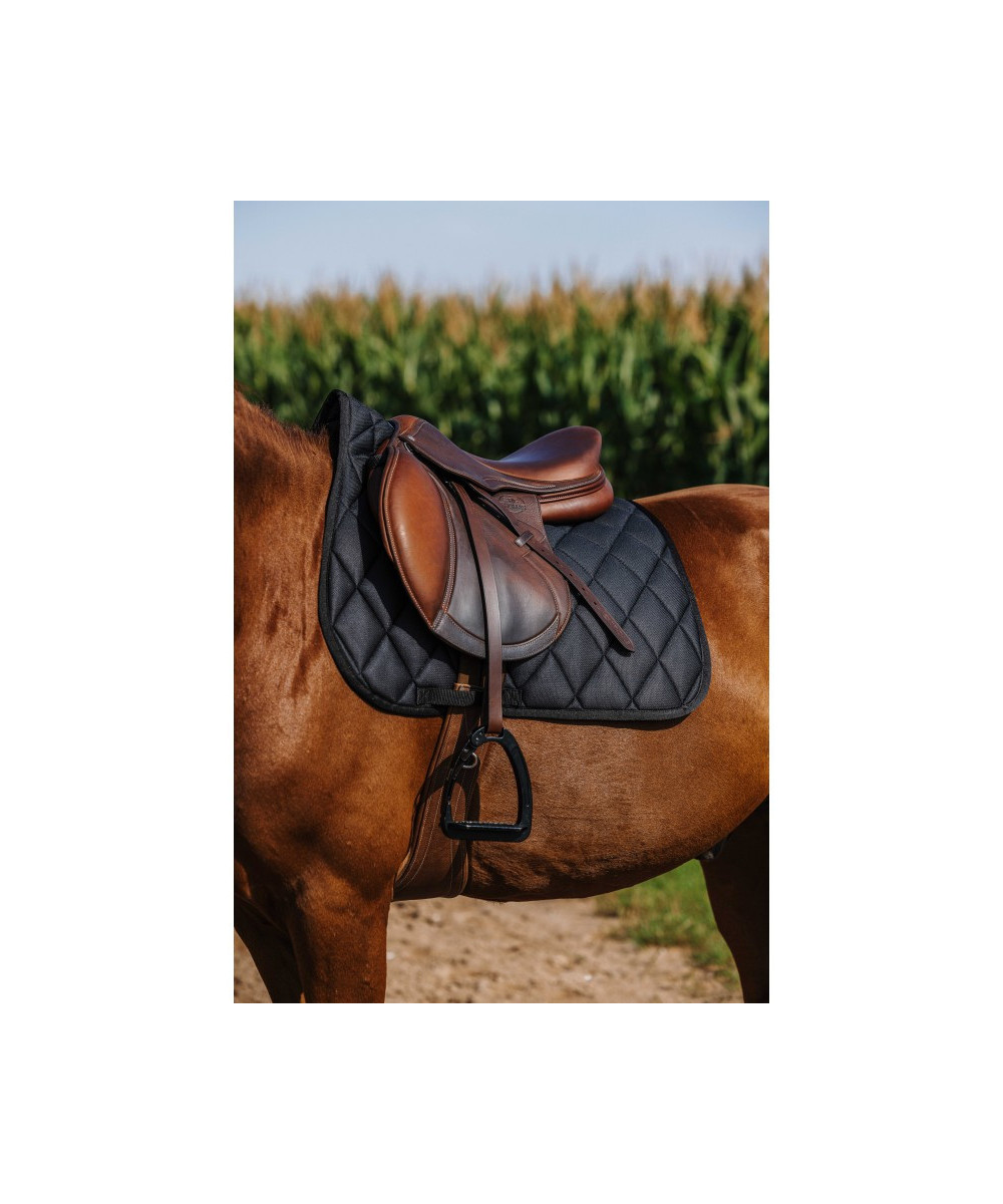 Riding World - Tapis School
