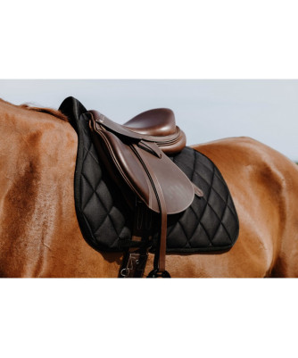 Riding World - Tapis School