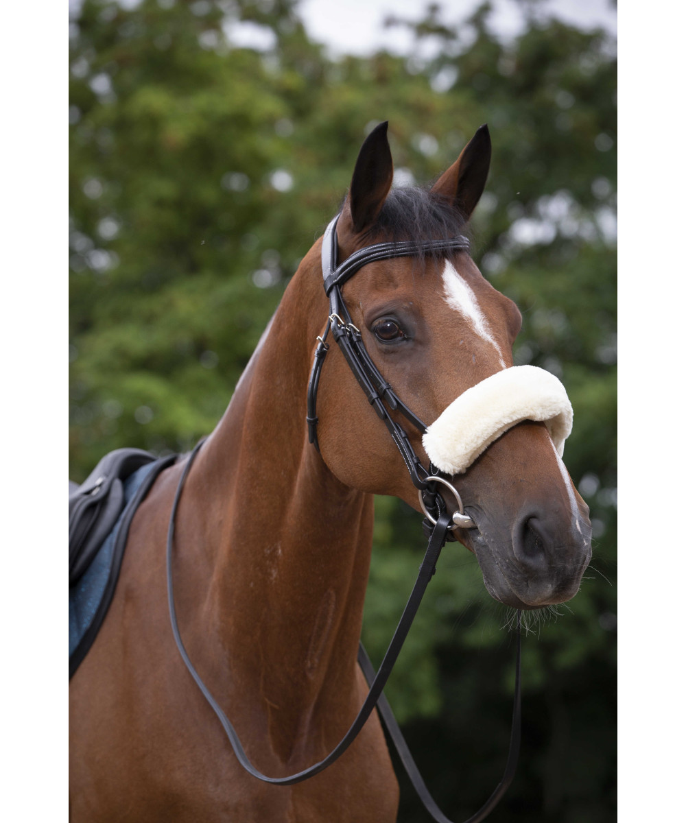 Equitheme - Fourreau de muserolle