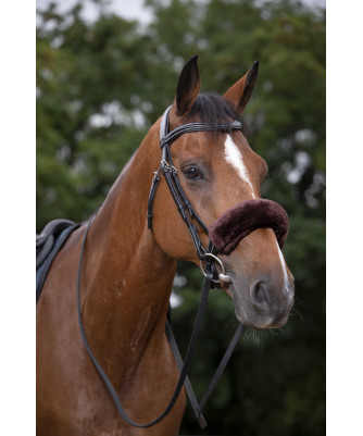 Equitheme - Fourreau de muserolle