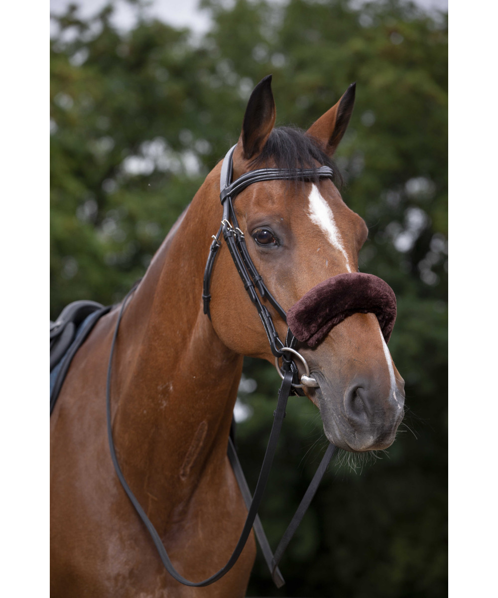 Equitheme - Fourreau de muserolle