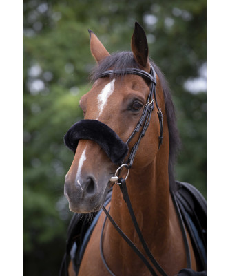 Equitheme - Fourreau de muserolle