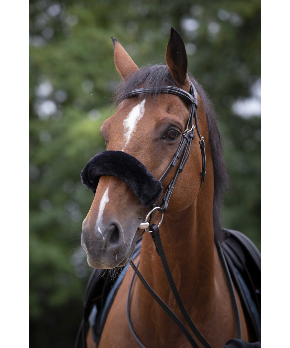 Equitheme - Fourreau de muserolle