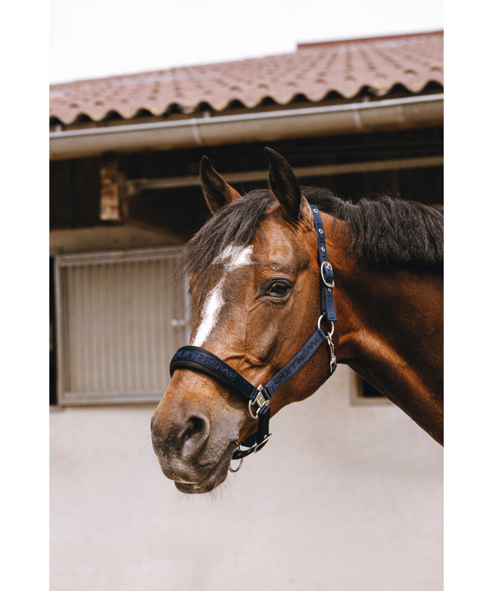Equithème - Licol nylon Jacquard