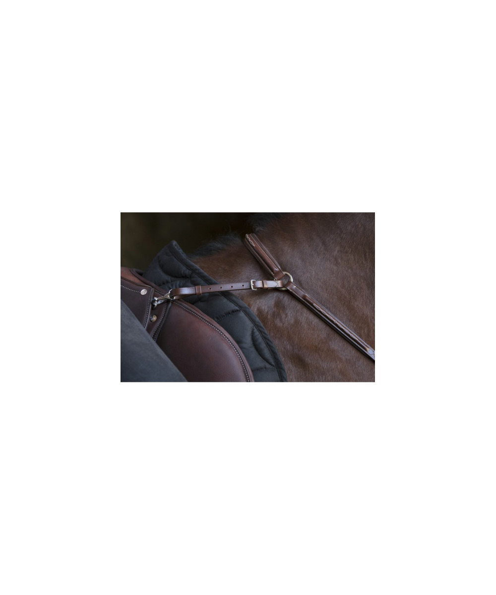 NORTON PRO - Collier de chasse