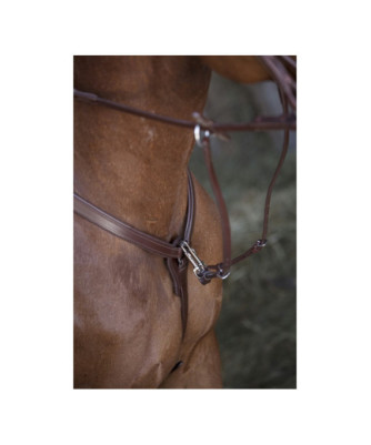 NORTON PRO - Collier de chasse