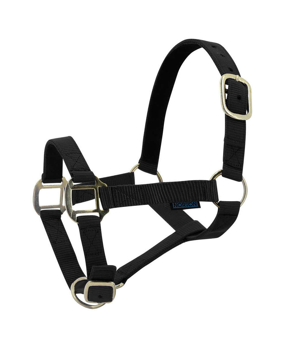 Norton - Licol nylon doublé Cuir