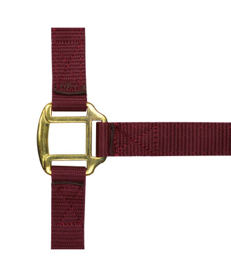 Norton - Licol nylon doublé Cuir