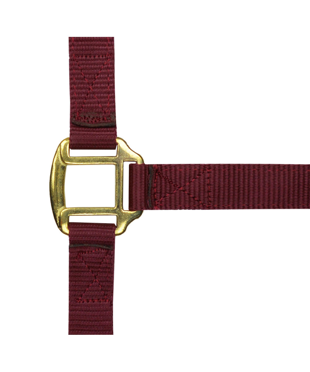 Norton - Licol nylon doublé Cuir