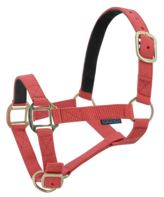 Norton - Licol nylon doublé Cuir