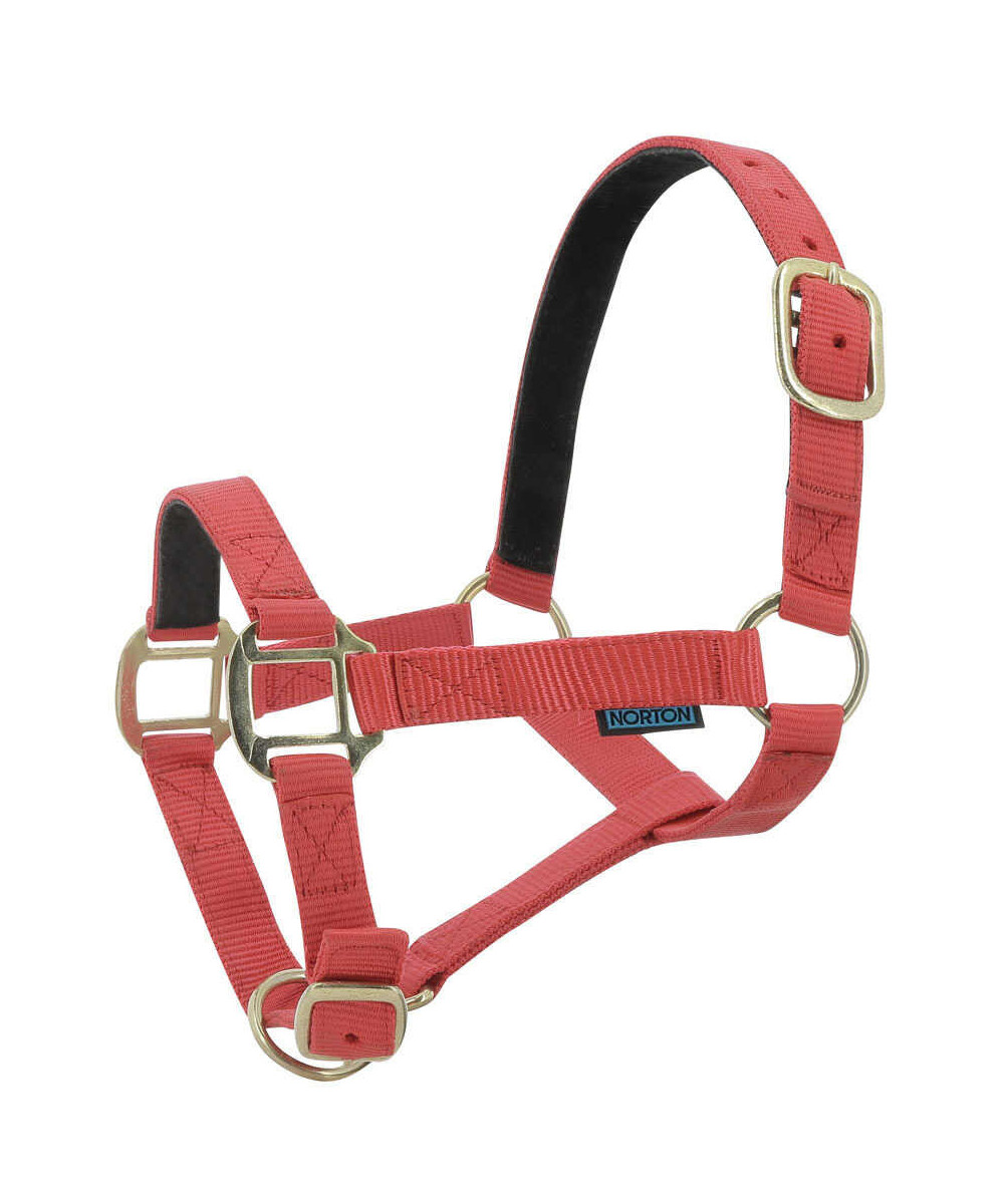 Norton - Licol nylon doublé Cuir