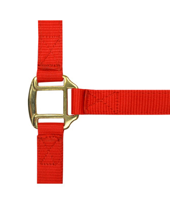 Norton - Licol nylon doublé Cuir