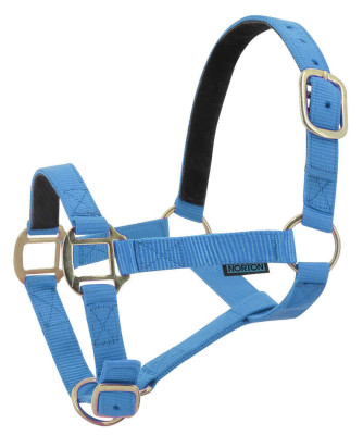 Norton - Licol nylon doublé Cuir