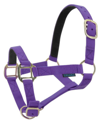 Norton - Licol nylon doublé Cuir