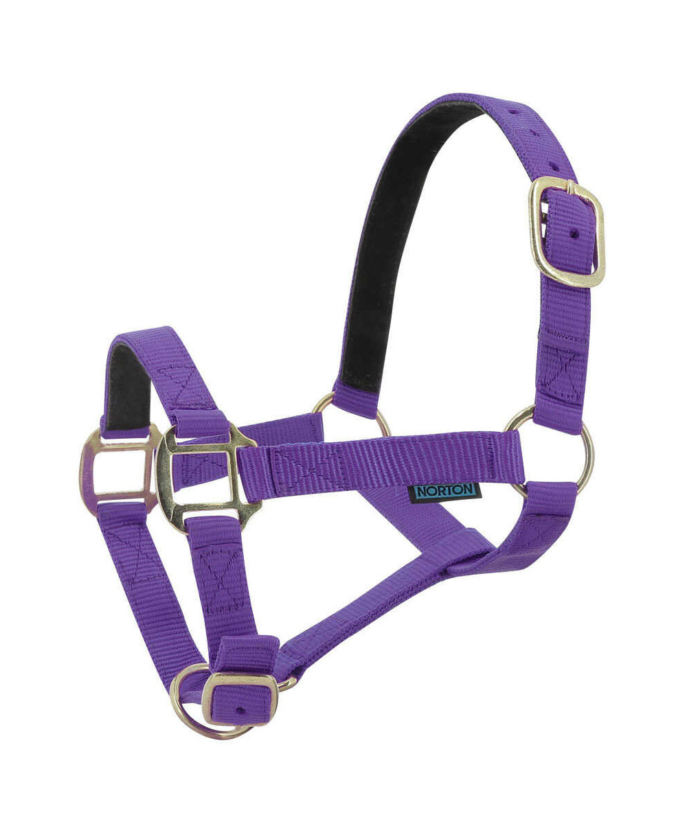 Norton - Licol nylon doublé Cuir