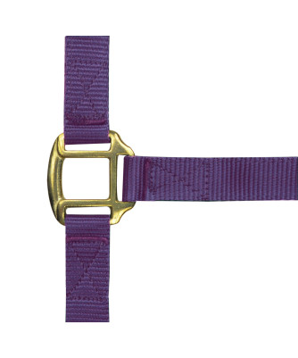 Norton - Licol nylon doublé Cuir
