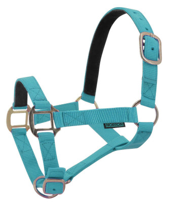 Norton - Licol nylon doublé Cuir