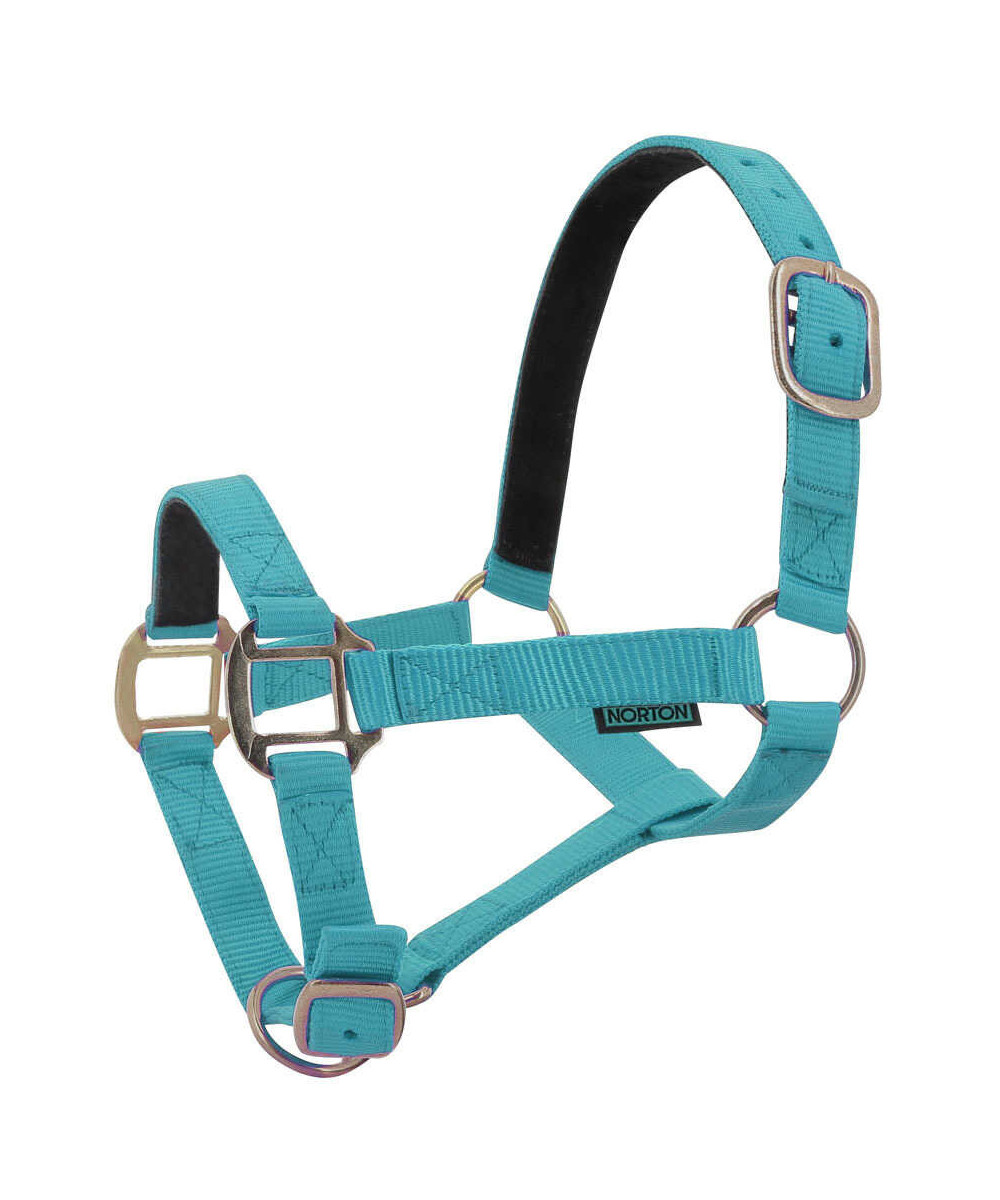Norton - Licol nylon doublé Cuir