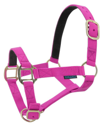 Norton - Licol nylon doublé Cuir