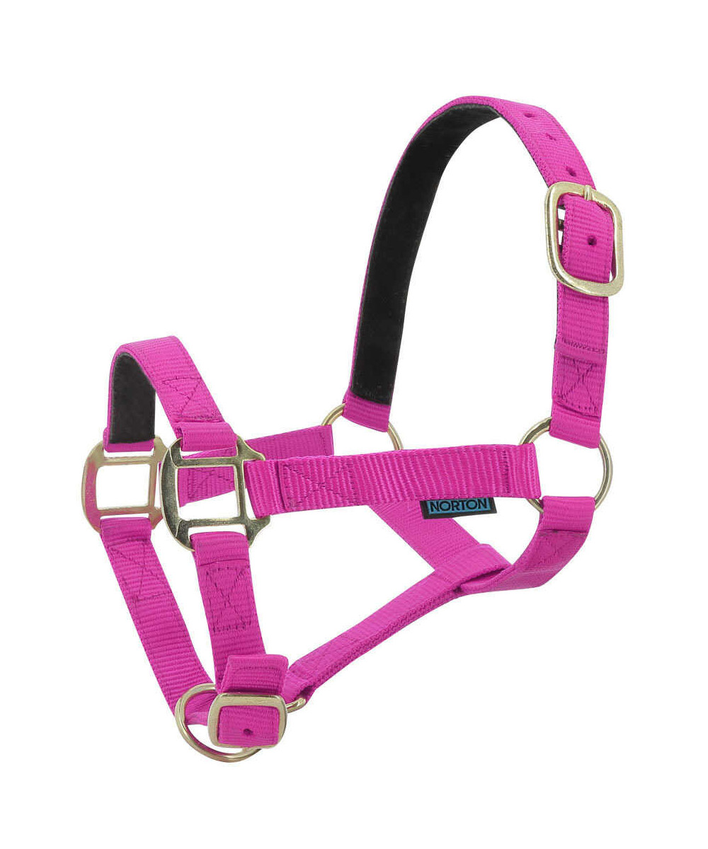 Norton - Licol nylon doublé Cuir
