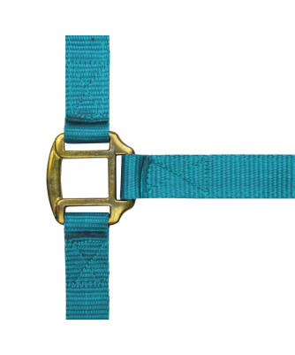 Norton - Licol nylon doublé Cuir