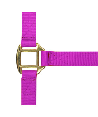 Norton - Licol nylon doublé Cuir