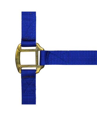 Norton - Licol nylon doublé Cuir