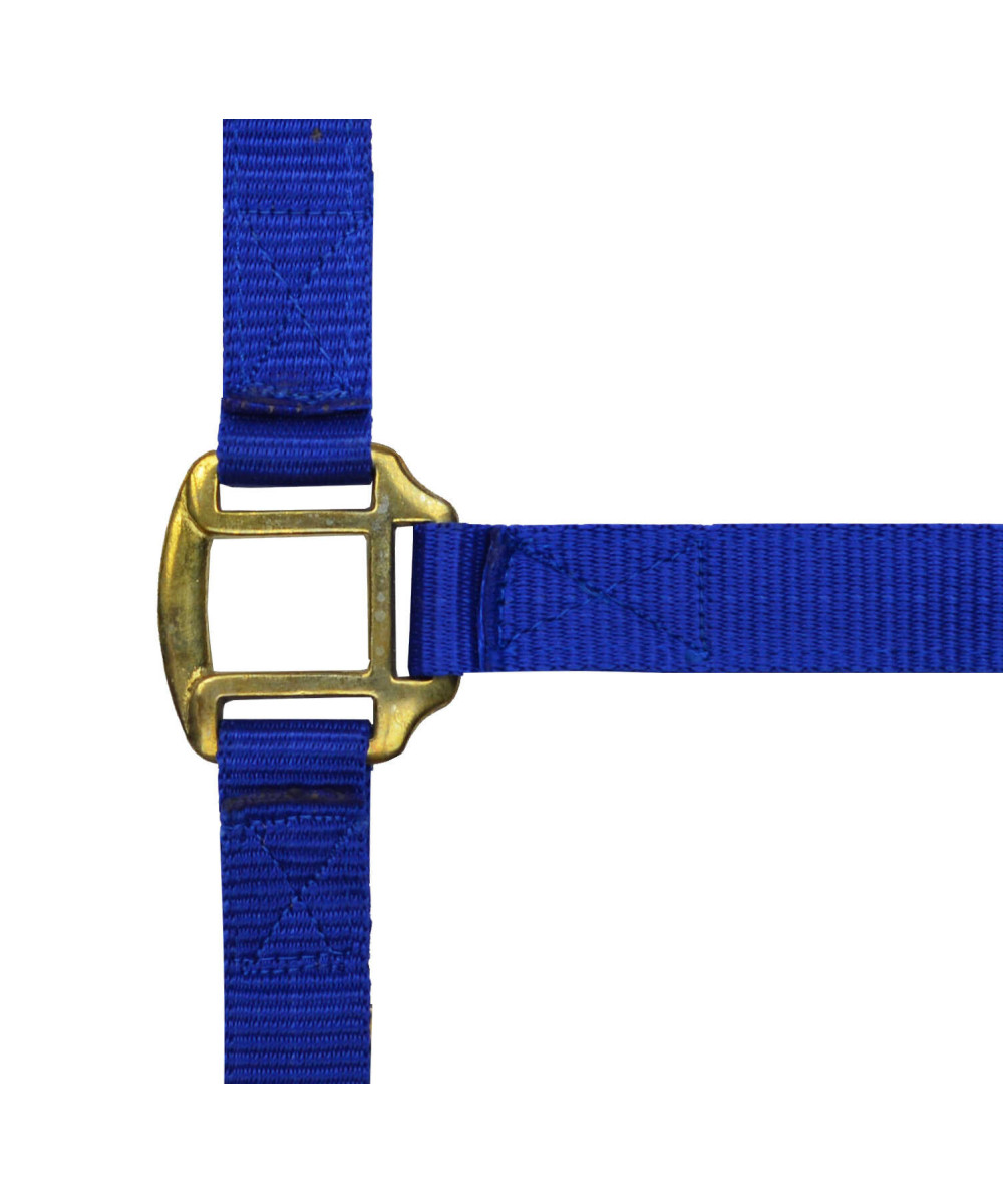 Norton - Licol nylon doublé Cuir
