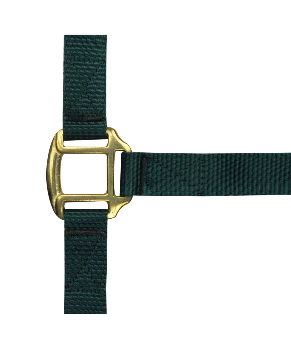 Norton - Licol nylon doublé Cuir