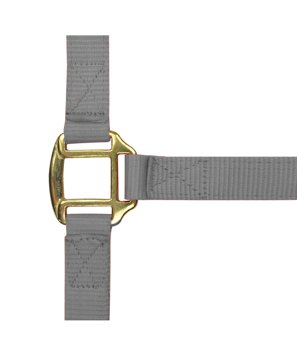 Norton - Licol nylon doublé Cuir