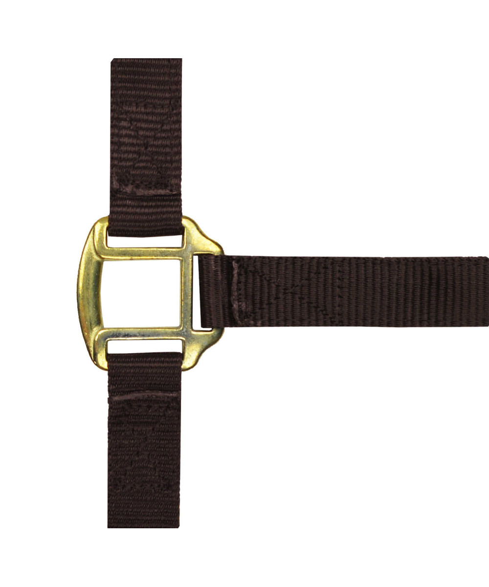 Norton - Licol nylon doublé Cuir