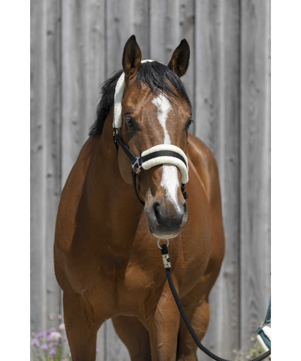 Riding World - Licol mouton