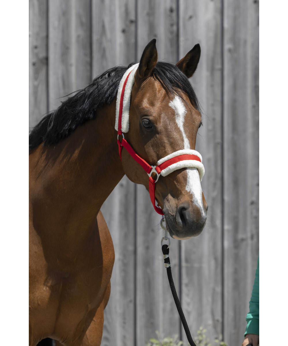 Riding World - Licol mouton