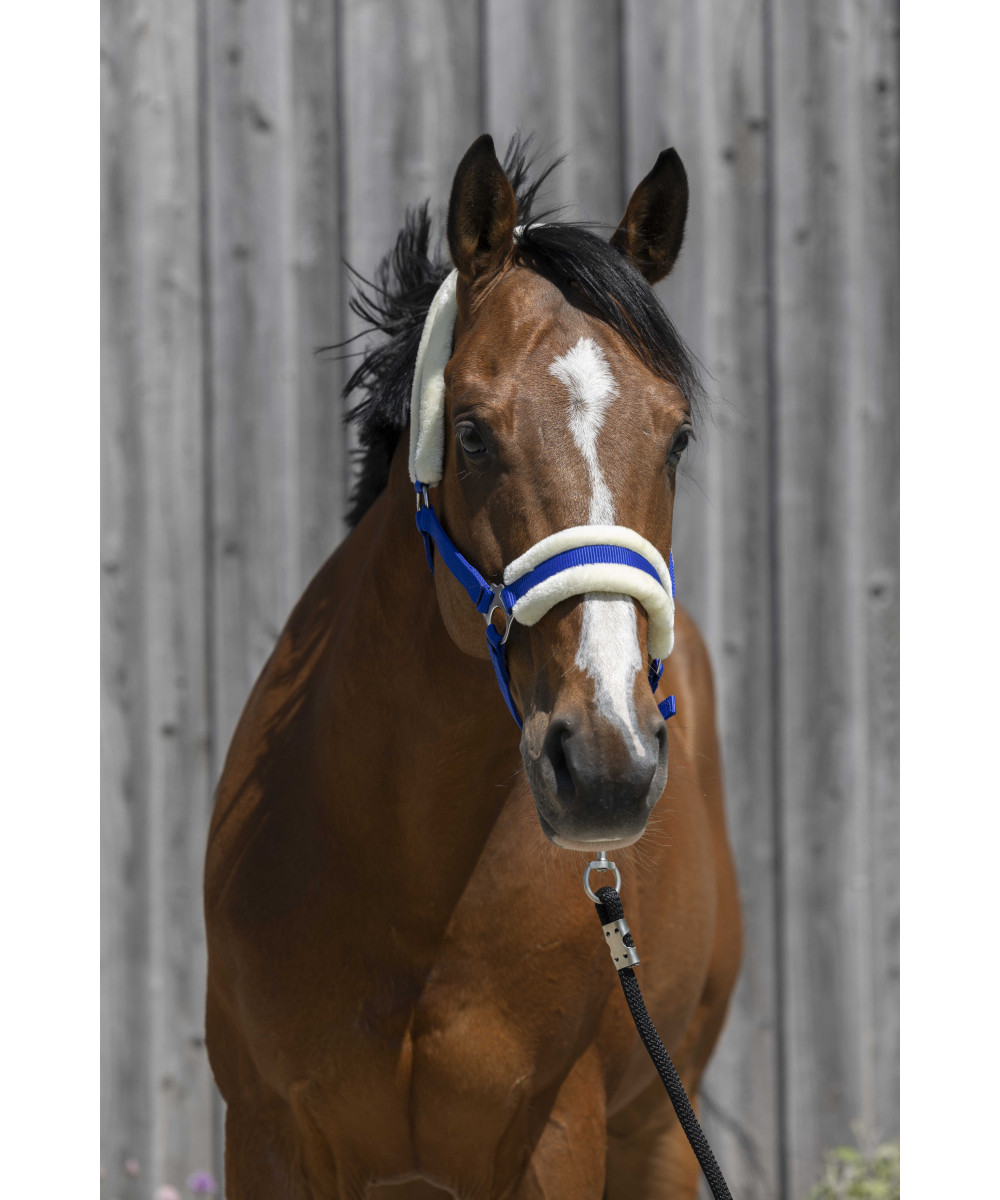 Riding World - Licol mouton