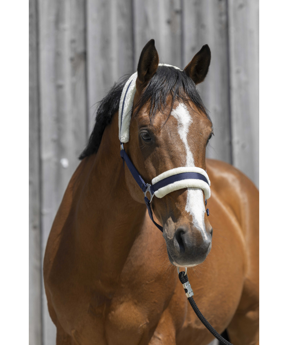 Riding World - Licol mouton