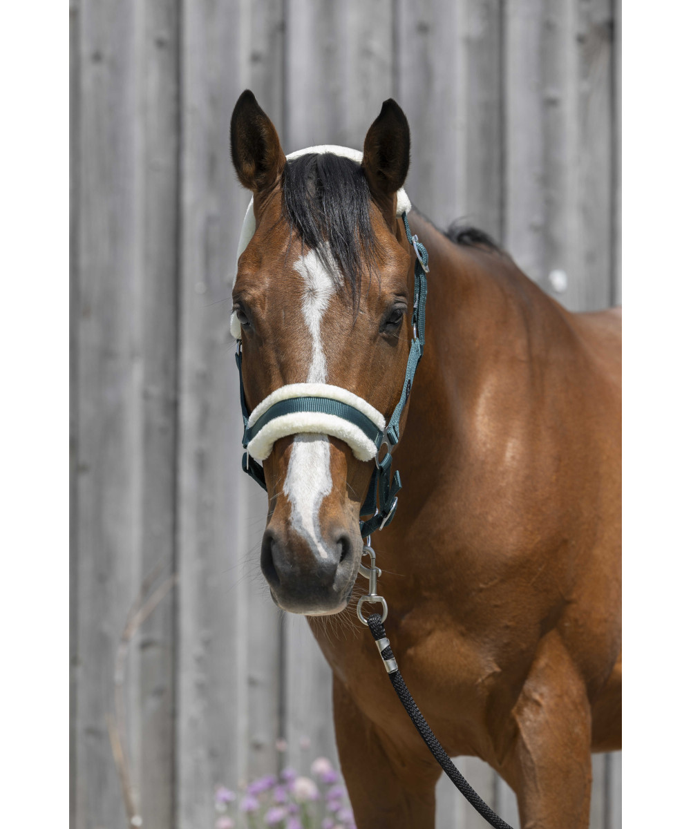 Riding World - Licol mouton