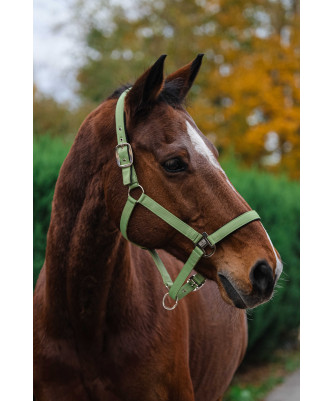 Equithème - Licol nylon Spring