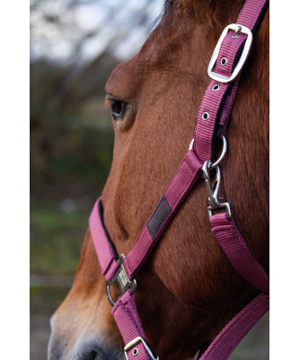 Equithème - Licol nylon Spring