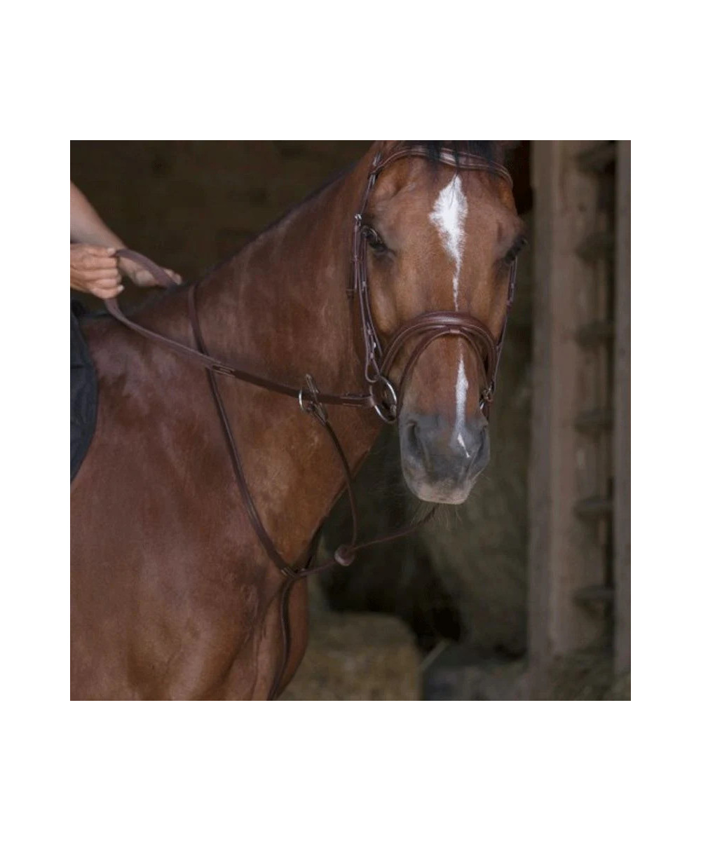 NORTON PRO - Martingale à anneaux