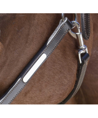 Norton - Licol cuir Grooming
