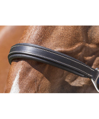 Norton - Licol cuir Grooming