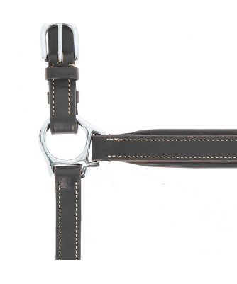 Norton - Licol cuir Grooming